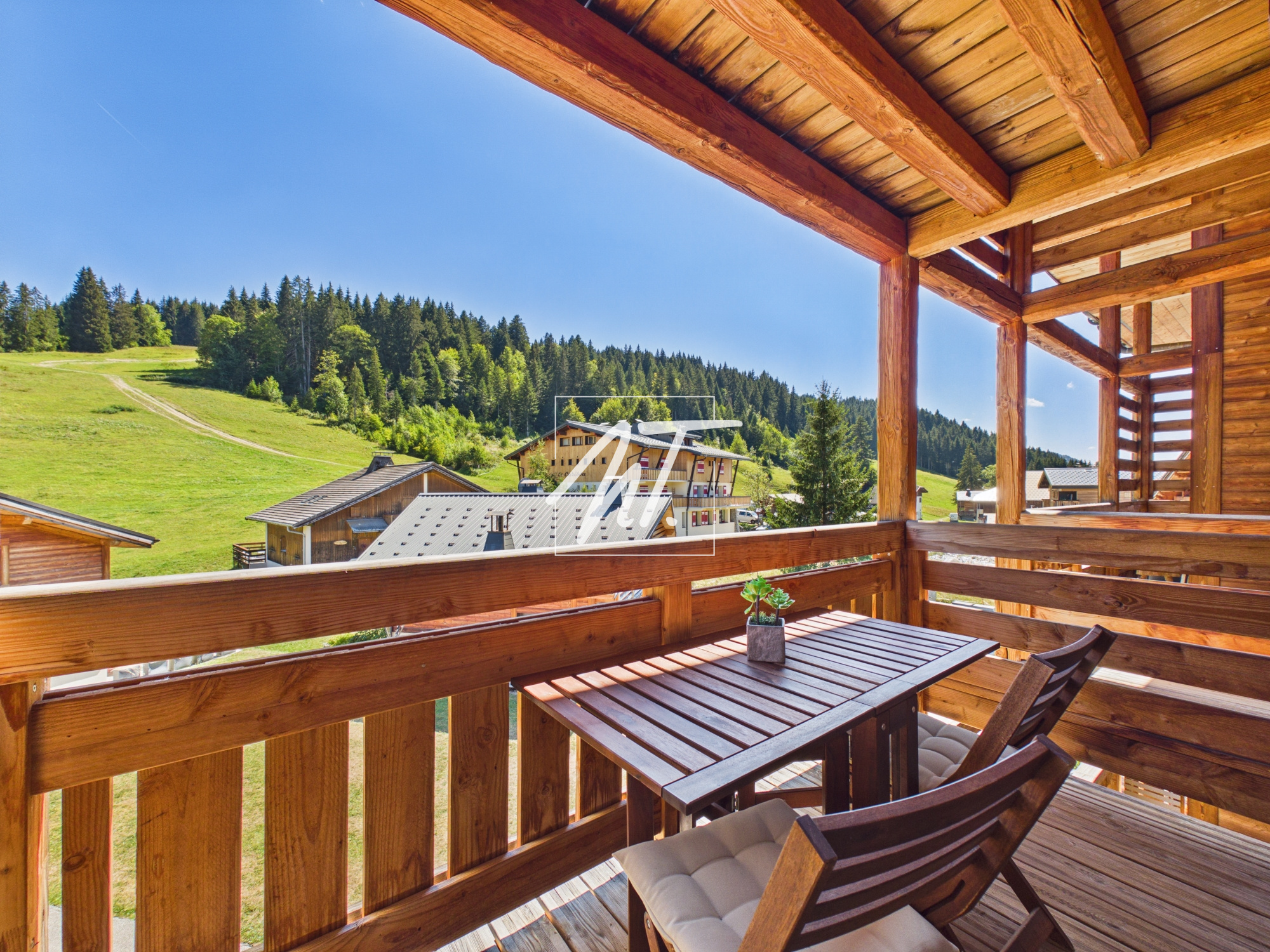 Magnifique duplex de 79m2 - skis aux pied!