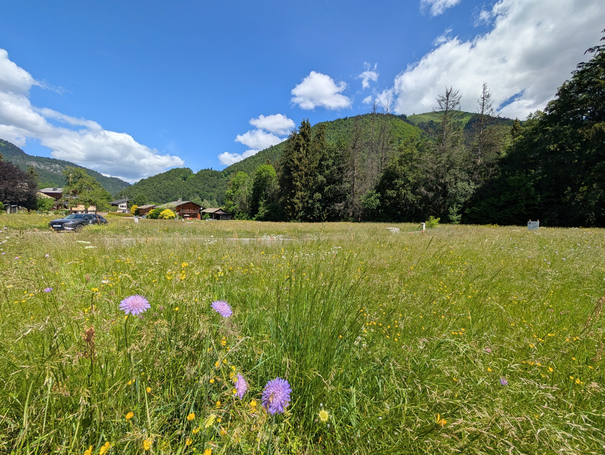 Terrain constructible quartier reposant